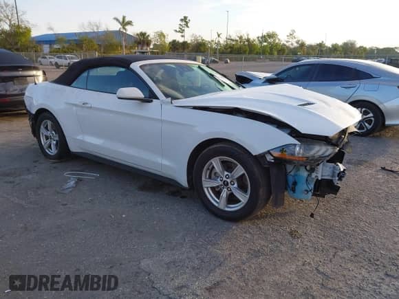 2021 Ford Mustang EcoBoost с VIN 1FATP8UH9M5147083, выставлен на аукционе IAAI как лот 41640618 с пробегом 12 290 миль миль и . История ставок и продаж доступна на DreamBid. Изображение 1.