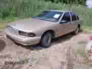 1995 Chevrolet Caprice с VIN 1G1BL52W1SR190462, выставлен на аукционе IAAI как лот 42964092 с пробегом 101 000 миль миль и . История ставок и продаж доступна на DreamBid. Изображение 2.
