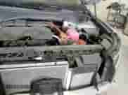 2024 Kia Sorento EX with VIN KNDRHDLG6R5247684, listed as a Copart auction lot 82343915 with 15,399 mi miles and Salvage title. Bid and sale history available at DreamBid. Image 15.