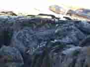 2002 Ford F-150 XLT с VIN 1FTRW08L02KC65688, выставлен на аукционе IAAI как лот 43464806 с пробегом Не указан миль и . История ставок и продаж доступна на DreamBid. Изображение 7.