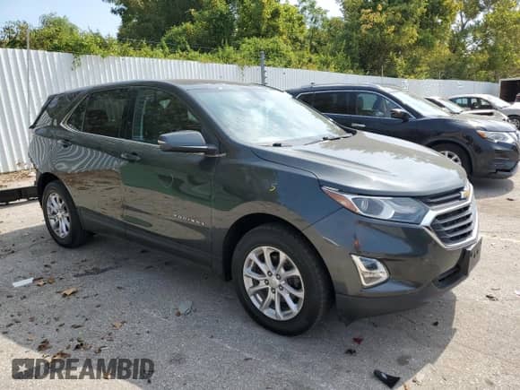 2019 Chevrolet Equinox LT with VIN 3GNAXUEV8KS681698, listed as a Copart auction lot 81010225 with 113,105 mi miles and Salvage title. Bid and sale history available at DreamBid. Image 4.