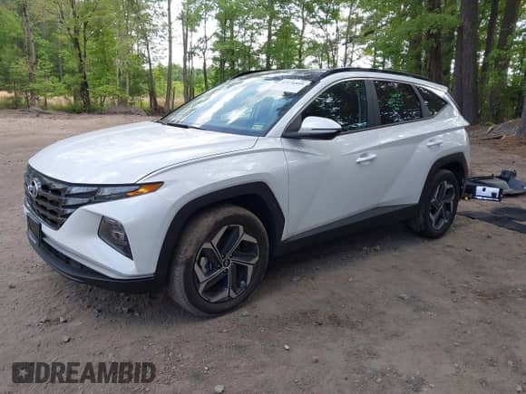 2024 Hyundai Tucson SEL Convenience with VIN KM8JCCD17RU159017, listed as a IAAI auction lot 42176899 with 11,722 mi miles and . Bid and sale history available at DreamBid. Image 2.