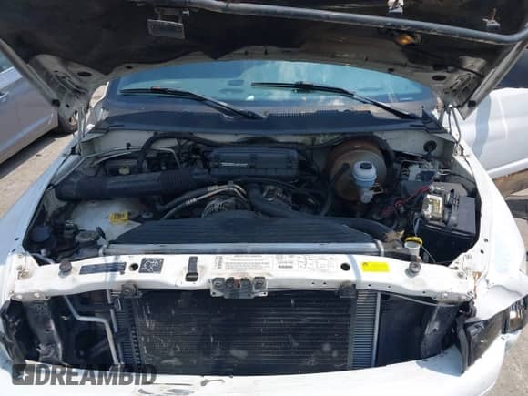 2001 Dodge 1500 with VIN 3B7HF13Z51M257137, listed as a IAAI auction lot 42568442 with 228,248 mi miles and . Bid and sale history available at DreamBid. Image 10.