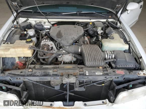 1994 Chevrolet Caprice с VIN 1G1BL52W9RR144727, выставлен на аукционе Copart как лот 49951855 с пробегом Не указан миль и Чистый • Clean title. История ставок и продаж доступна на DreamBid. Изображение 11.