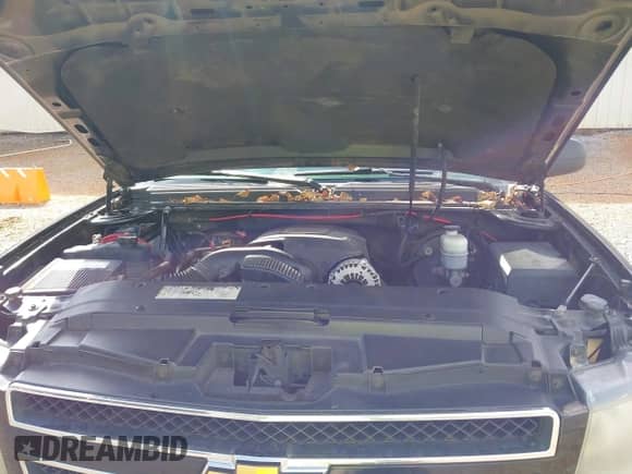 2008 Chevrolet Avalanche 1LT with VIN 3GNEC12068G252298, listed as a IAAI auction lot 43386102 with 351,033 mi miles and . Bid and sale history available at DreamBid. Image 10.
