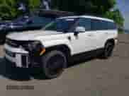 2024 Hyundai Santa Fe Calligraphy z VIN 5NMP5DG19RH004891, wystawiony jako Copart lot #63265385 z przebiegiem 16 956 mil mil oraz Szkoda całkowita • Salvage title. Historia ofert i sprzedaży dostępna na DreamBid. Obrazek 1.