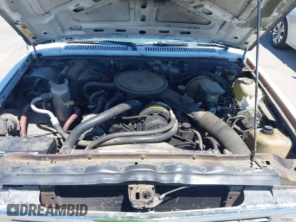 1984 Chevrolet Blazer с VIN 1G8CT18B1E8186120, выставлен на аукционе IAAI как лот 42819790 с пробегом 33 107 миль миль и . История ставок и продаж доступна на DreamBid. Изображение 10.