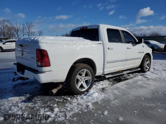 2010 Dodge 1500 Sport с VIN 1D7RV1CT8AS183115, выставлен на аукционе Copart как лот 44805135 с пробегом 131 283 миль миль и Списание • Salvage title. История ставок и продаж доступна на DreamBid. Изображение 3.