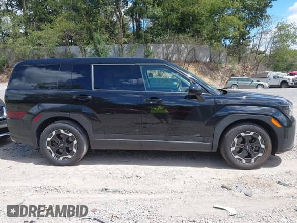 2024 Hyundai Santa Fe SE с VIN 5NMP1DGL3RH033235, выставлен на аукционе IAAI как лот 43118311 с пробегом 13 586 миль миль и . История ставок и продаж доступна на DreamBid. Изображение 14.