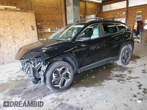 2024 Hyundai Tucson SEL with VIN 5NMJFCDE6RH347310, listed as a Copart auction lot 83954455 with 16,739 mi miles and Salvage title. Bid and sale history available at DreamBid. Image 1.
