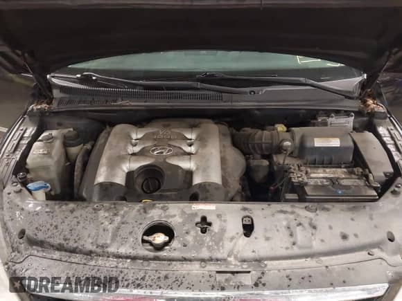 2007 Hyundai Entourage GLS с VIN KNDMC233X76028079, выставлен на аукционе IAAI как лот 41960674 с пробегом 179 523 миль миль и . История ставок и продаж доступна на DreamBid. Изображение 10.