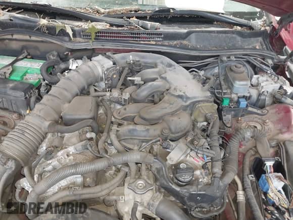 2008 Lexus IS 250 с VIN JTHBK262X82070000, выставлен на аукционе IAAI как лот 42922339 с пробегом 296 682 миль миль и . История ставок и продаж доступна на DreamBid. Изображение 10.