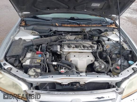 2002 Honda Accord SE with VIN 1HGCG567X2A175896, listed as a IAAI auction lot 42557502 with 213,229 mi miles and . Bid and sale history available at DreamBid. Image 10.