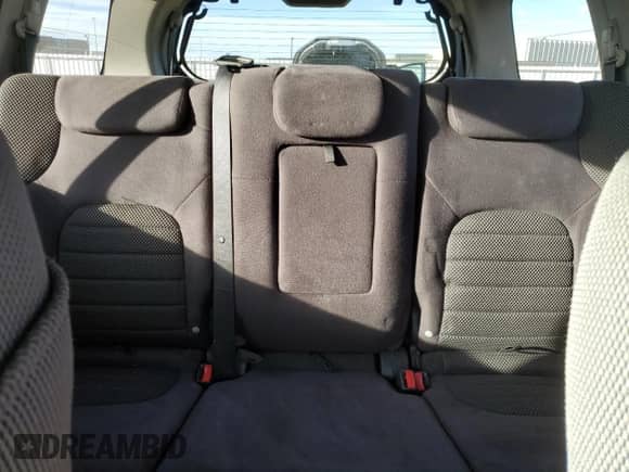 2009 Nissan Pathfinder LE with VIN 5N1AR18B29C608003, listed as a Copart auction lot 80361984 with 205,123 mi miles and Clean title. Bid and sale history available at DreamBid. Image 10.