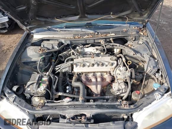 1999 Honda Accord LX с VIN 1HGCG3242XA006446, выставлен на аукционе IAAI как лот 41462208 с пробегом 285 744 миль миль и . История ставок и продаж доступна на DreamBid. Изображение 10.