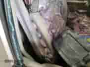 1997 Chevrolet Silverado 1500 with VIN 1GCEC14M4VZ146081, listed as a Copart auction lot 65327915 with Not provided miles and Clean title. Bid and sale history available at DreamBid. Image 10.