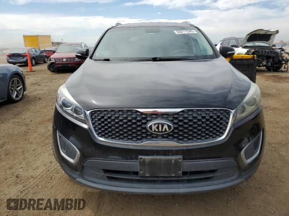 2017 Kia Sorento LX with VIN 5XYPGDA5XHG225124, listed as a Copart auction lot 53211245 with 141,244 mi miles and Clean title. Bid and sale history available at DreamBid. Image 5.