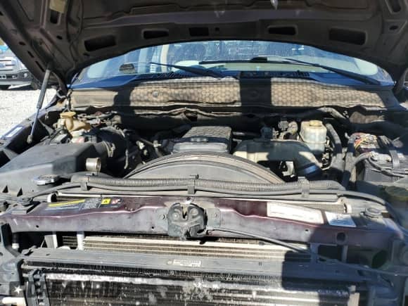 2005 Dodge 2500 SLT z VIN 3D7KS28C05G701451, wystawiony jako Copart lot #76239114 z przebiegiem 318 764 mil mil oraz Szkoda całkowita • Salvage title. Historia ofert i sprzedaży dostępna na DreamBid. Obrazek 11.