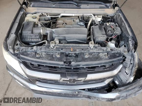 2019 Chevrolet Colorado 2WD Z71 with VIN 1GCGSDEA1K1119917, listed as a Copart auction lot 60749825 with 64,762 mi miles and Salvage title. Bid and sale history available at DreamBid. Image 11.