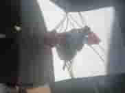 2013 Ford F-150 Lariat with VIN 1FTFW1ET2DKF69640, listed as a IAAI auction lot 43489361 with 184,577 mi miles and . Bid and sale history available at DreamBid. Image 11.