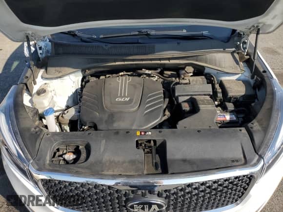 2017 Kia Sorento LX with VIN 5XYPGDA54HG315093, listed as a Copart auction lot 81431935 with 83,092 mi miles and Salvage title. Bid and sale history available at DreamBid. Image 12.