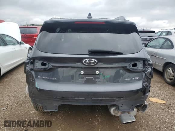 2021 Hyundai Santa Fe Limited with VIN 5NMS4DALXMH351694, listed as a Copart auction lot 69074605 with 57,905 mi miles and Salvage title. Bid and sale history available at DreamBid. Image 6.