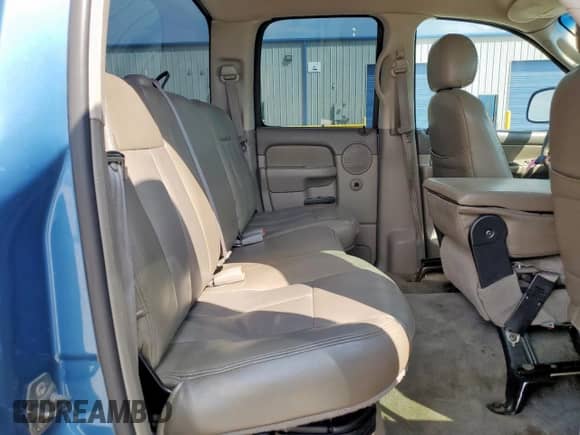 2002 Dodge 1500 z VIN 3B7HA18N62G103069, wystawiony jako Copart lot #81071455 z przebiegiem 232 514 mil mil oraz Szkoda całkowita • Salvage title. Historia ofert i sprzedaży dostępna na DreamBid. Obrazek 10.