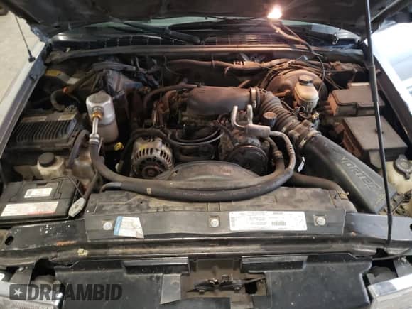 1999 Chevrolet Blazer LT z VIN 1GNDT13W4X2149645, wystawiony jako Copart lot #68597425 z przebiegiem 184 694 mil mil oraz Czysty tytuł • Clean title. Historia ofert i sprzedaży dostępna na DreamBid. Obrazek 12.