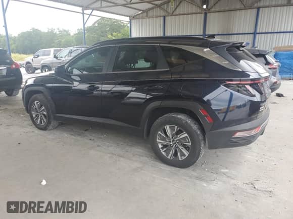 2022 Hyundai Tucson Blue with VIN KM8JBCA14NU018875, listed as a Copart auction lot 67028315 with 273,692 mi miles and Clean title. Bid and sale history available at DreamBid. Image 2.