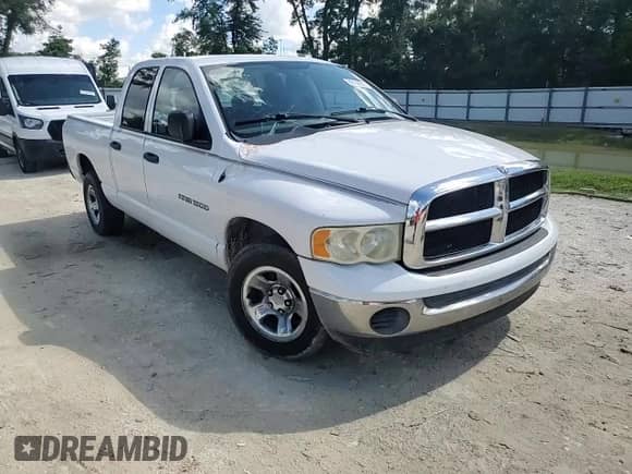 2004 Dodge 1500 SLT с VIN 1D7HA18N54S736485, выставлен на аукционе Copart как лот 69194655 с пробегом 264 542 миль миль и Списание • Salvage title. История ставок и продаж доступна на DreamBid. Изображение 13.
