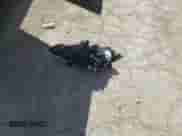 2010 Nissan Murano LE with VIN JN8AZ1MWXAW137416, listed as a Copart auction lot 62794105 with 182,317 mi miles and Salvage title. Bid and sale history available at DreamBid. Image 12.