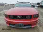 2009 Ford Mustang GT z VIN 1ZVHT85H395116989, wystawiony jako Copart lot #44259475 z przebiegiem 98 104 mil mil oraz Szkoda całkowita • Salvage title. Historia ofert i sprzedaży dostępna na DreamBid. Obrazek 5.