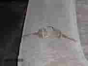 2000 Chevrolet S-10 LS с VIN 1GCDT19W2YK202876, выставлен на аукционе IAAI как лот 41447081 с пробегом 222 016 миль миль и . История ставок и продаж доступна на DreamBid. Изображение 11.