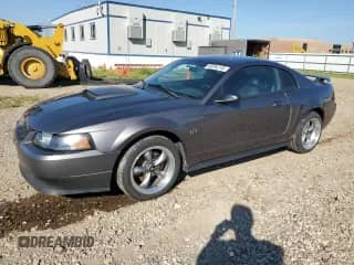 2003 Ford Mustang GT Deluxe с VIN 1FAFP42X33F311890, выставлен на аукционе Copart как лот 68294745 с пробегом 151 171 миль миль и Списание • Salvage title. История ставок и продаж доступна на DreamBid. Изображение 1.