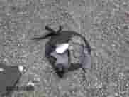 2014 Land Rover Range Rover Sport Supercharged с VIN SALWR2EF3EA332503, выставлен на аукционе Copart как лот 51660995 с пробегом 138 426 миль миль и Чистый • Clean title. История ставок и продаж доступна на DreamBid. Изображение 13.