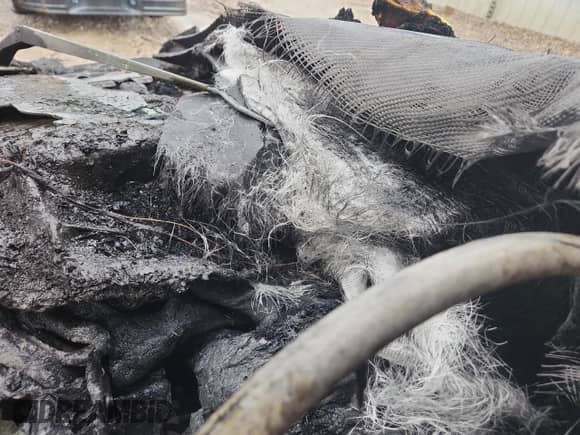 2003 Dodge Neon SRT-4 with VIN 1B3ES66S53D217215, listed as a Copart auction lot 84574335 with Not provided miles and Salvage title. Bid and sale history available at DreamBid. Image 9.