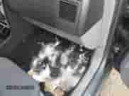 2006 Dodge Magnum with VIN 2D8FV47V26H235199, listed as a IAAI auction lot 42317253 with 251,458 mi miles and . Bid and sale history available at DreamBid. Image 13.