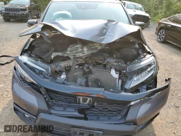 2021 Honda Passport Touring with VIN 5FNYF8H93MB502205, listed as a Copart auction lot 67579595 with Not provided miles and Salvage title. Bid and sale history available at DreamBid. Image 12.