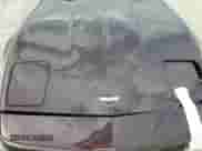 1994 Chevrolet Corvette with VIN 1G1YY22PXR5104229, listed as a Copart auction lot 74204594 with Not provided miles and Salvage title. Bid and sale history available at DreamBid. Image 11.