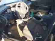 2005 Dodge Neon SXT z VIN 1B3ES56C85D196379, wystawiony jako IAAI lot #41612965 z przebiegiem 158 304 mil mil oraz . Historia ofert i sprzedaży dostępna na DreamBid. Obrazek 5.