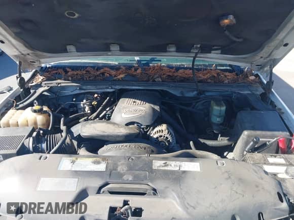 2001 Chevrolet Silverado 1500 LS z VIN 1GCEK19T51E287181, wystawiony jako IAAI lot #43560361 z przebiegiem Nie podano mil oraz . Historia ofert i sprzedaży dostępna na DreamBid. Obrazek 10.