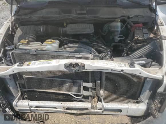 2008 Dodge 1500 ST z VIN 1D7HA18K78J205273, wystawiony jako Copart lot #59507875 z przebiegiem 144 689 mil mil oraz Szkoda całkowita • Salvage title. Historia ofert i sprzedaży dostępna na DreamBid. Obrazek 11.