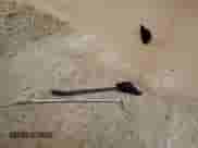 2008 Chrysler 300 LX with VIN 2C3KA43R28H176678, listed as a Copart auction lot 68433725 with 149,983 mi miles and Salvage title. Bid and sale history available at DreamBid. Image 12.