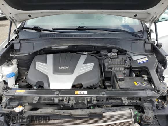 2019 Hyundai Santa Fe Limited Ultimate с VIN KM8SR4HF8KU306157, выставлен на аукционе Copart как лот 64237955 с пробегом 112 196 миль миль и Списание • Salvage title. История ставок и продаж доступна на DreamBid. Изображение 12.