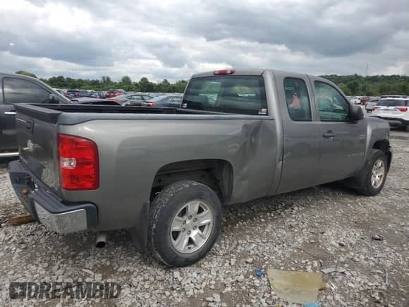 2008 Chevrolet Silverado 1500 Work Truck with VIN 1GCEC19X68Z140872, listed as a Copart auction lot 81804805 with Not provided miles and Salvage title. Bid and sale history available at DreamBid. Image 3.