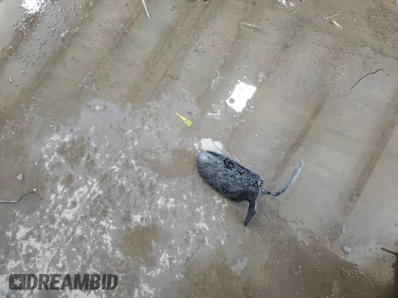 2000 Saturn SL with VIN 1G8ZK5271YZ182706, listed as a Copart auction lot 70810135 with 180,566 mi miles and Salvage title. Bid and sale history available at DreamBid. Image 12.