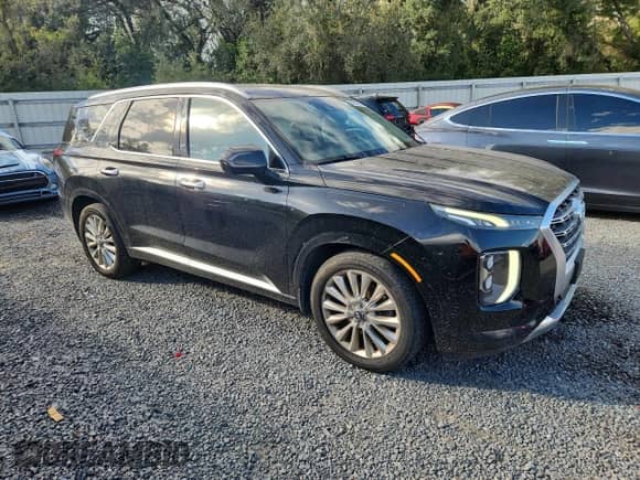 2020 Hyundai Palisade Limited with VIN KM8R5DHE6LU100418, listed as a Copart auction lot 90910875 with 115,928 mi miles and Clean title. Bid and sale history available at DreamBid. Image 4.