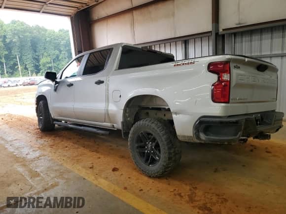 2019 Chevrolet Silverado 1500 Custom Trail Boss with VIN 3GCPYCEF8KG264541, listed as a Copart auction lot 67593145 with Not provided miles and Salvage title. Bid and sale history available at DreamBid. Image 2.