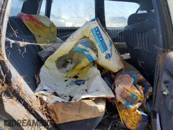 1988 Chevrolet Celebrity с VIN 1G1AW51W8J6159794, выставлен на аукционе Copart как лот 47321315 с пробегом 181 956 миль миль и На запчасти • Non repairable. История ставок и продаж доступна на DreamBid. Изображение 10.