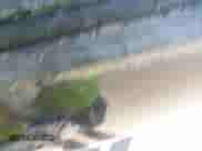 2025 Hyundai Santa Fe Limited с VIN 5NMP4DGL6SH093040, выставлен на аукционе IAAI как лот 41498674 с пробегом Не указан миль и . История ставок и продаж доступна на DreamBid. Изображение 5.